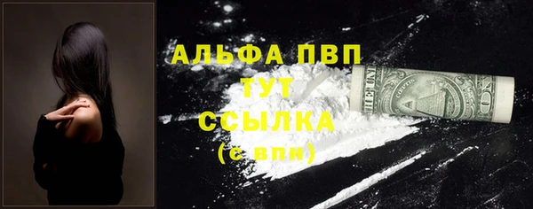 индика Наволоки