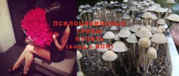 прущая мука Алексин