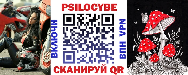 магазин    Перевоз  Псилоцибиновые грибы GOLDEN TEACHER 